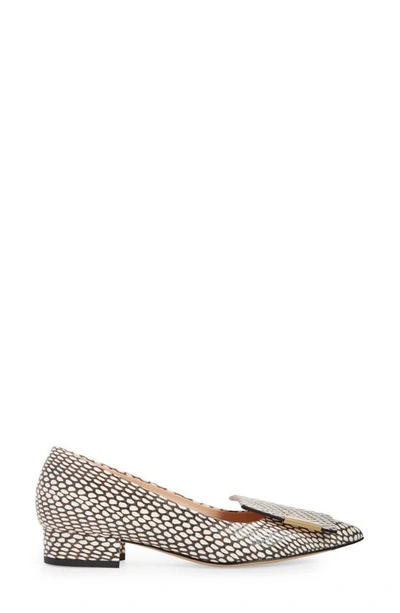 Bells & Becks Allegra Pointed Toe Flat In Black And White