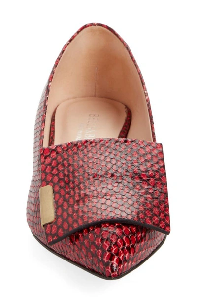 Bells & Becks Allegra Pointed Toe Flat In Deep Red