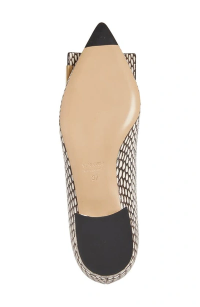Bells & Becks Allegra Pointed Toe Flat In Black And White