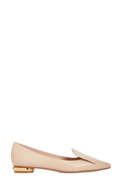 Shop Bells & Becks Lia Pointed Toe Flat In Nude