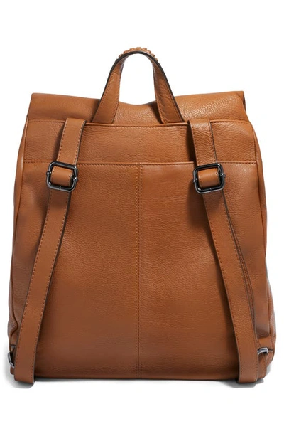 Shop Aimee Kestenberg Bali Large Leather Backpack In Chestnut Brown W/ Gunmetal