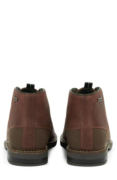 Barbour Readhead Chukka Boot In Cedar