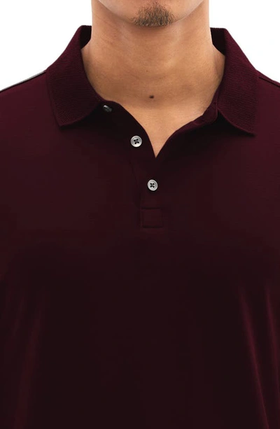 Shop Robert Barakett Georgia Long Sleeve Polo In Cabernet