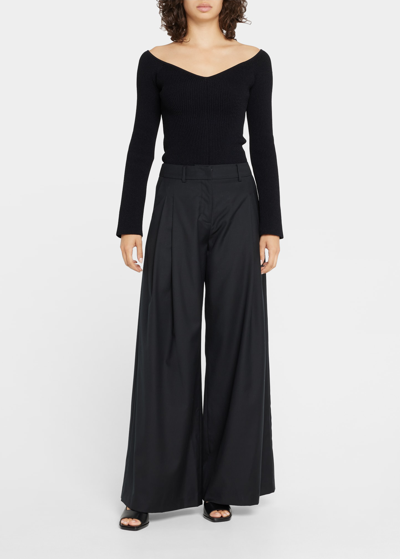 Shop Anna Quan Joan Pleated Wide-leg Pants In Black