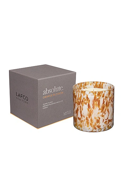 Shop Lafco New York Absolute Signature Candle In Orange Blossom