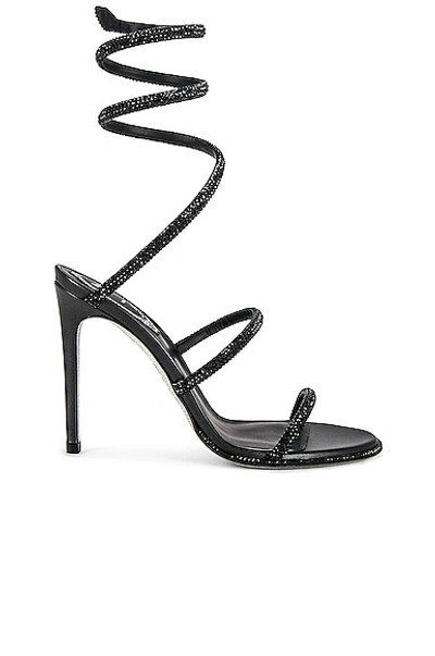 Shop René Caovilla Cleo 105mm Lace Up Sandal In Black & Jet
