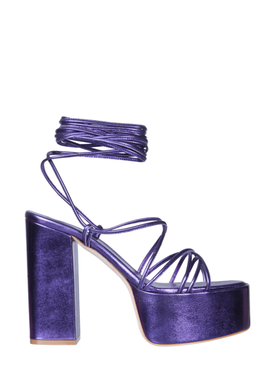 Shop Paris Texas Malena Sandalwood In Purple
