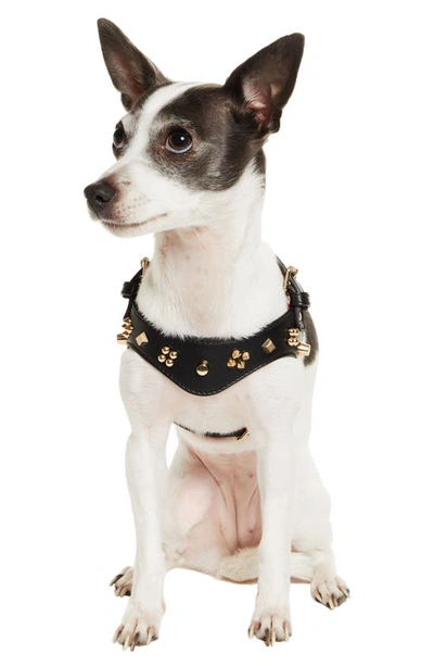 Shop Christian Louboutin Loubiharness Spikes Cara Extra Small Leather Dog Harness In Black/ Gold