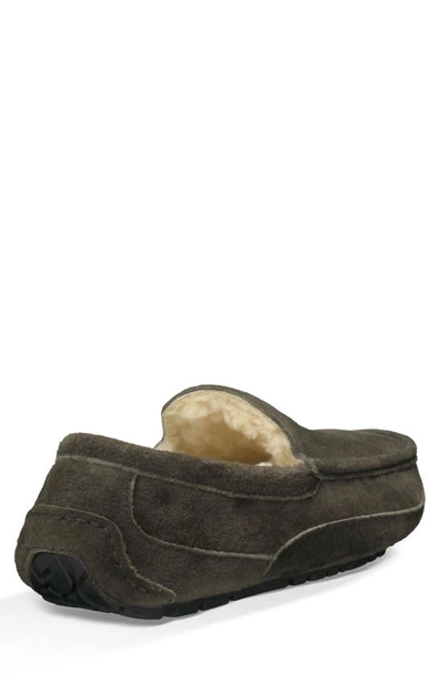 Shop Ugg Ascot Slipper In Charcoal Suede
