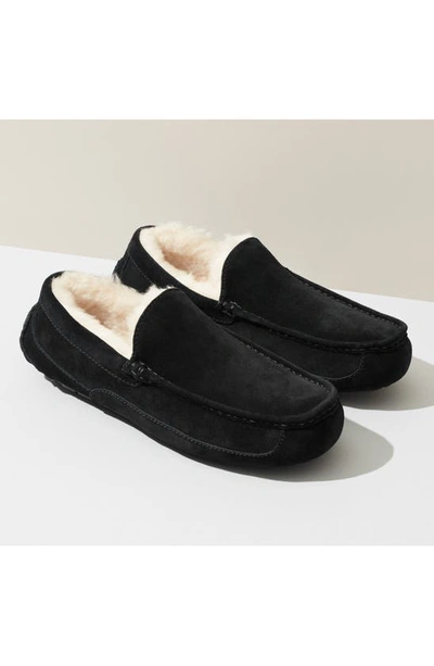 Shop Ugg Ascot Slipper In Charcoal Suede