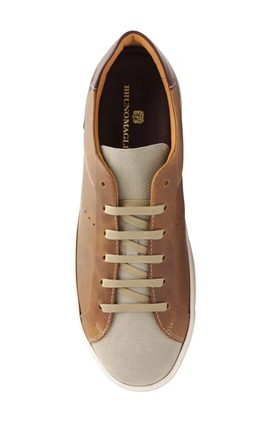 Shop Bruno Magli Dante Oxford Sneaker In Cognac/ Taupe Suede