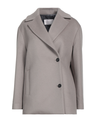 Shop Annie P . Woman Coat Dove Grey Size 10 Virgin Wool, Polyamide, Cashmere