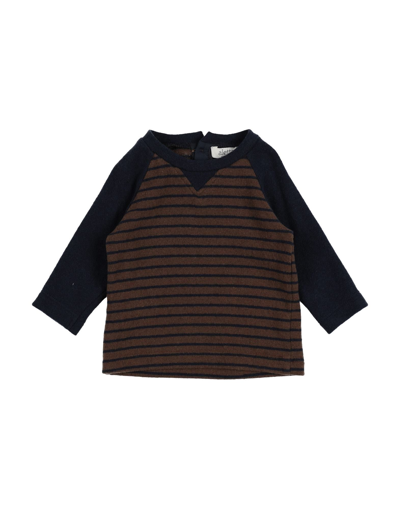 Shop Aletta Newborn Boy Sweater Brown Size 3 Cotton, Acrylic, Elastane, Viscose, Polyamide