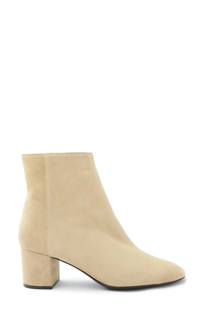 Bruno Magli Vinny Bootie In Noce Suede