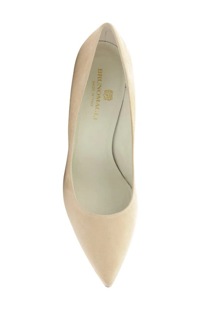 Bruno Magli Telma Pointed Toe Pump In Noce Suede