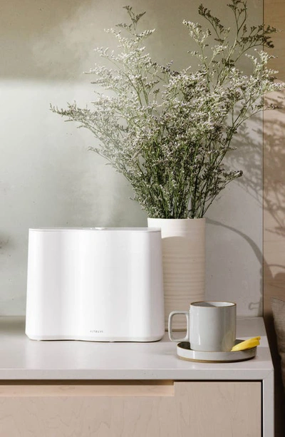 Vitruvi Cloud Cool Mist Humidier In White