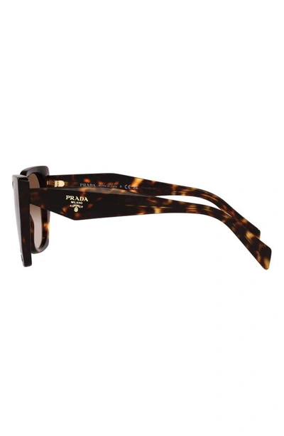 Prada Logo Tortoiseshell-frame Sunglasses In Tortoise
