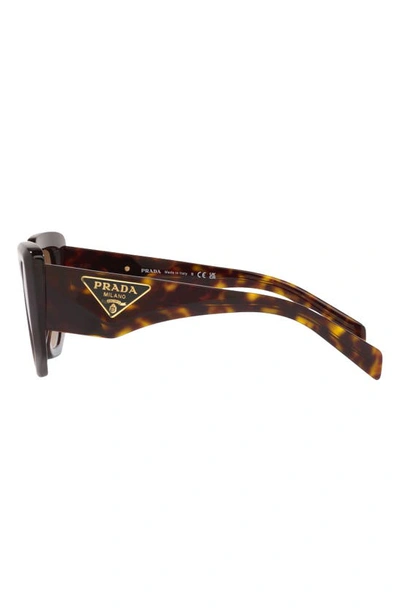 Prada 58mm Rectangular Sunglasses In Tortoise