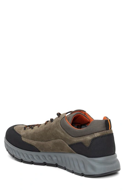 Ara Petro Waterproof Sneaker In Olive