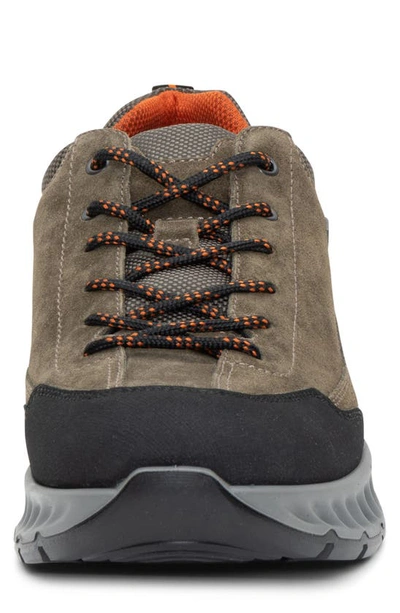 Ara Petro Waterproof Sneaker In Olive