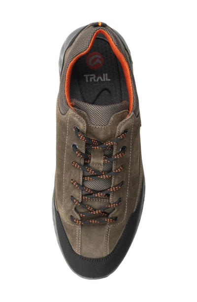 Ara Petro Waterproof Sneaker In Olive