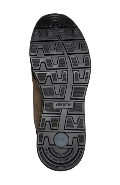 Ara Petro Waterproof Sneaker In Olive
