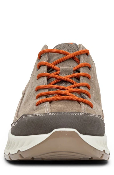 Ara Prague Sneaker In Beige