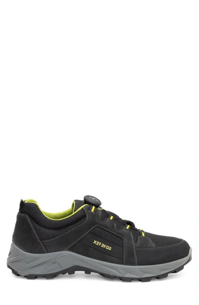 Shop Ara Satchel Waterproof Sneaker In Black