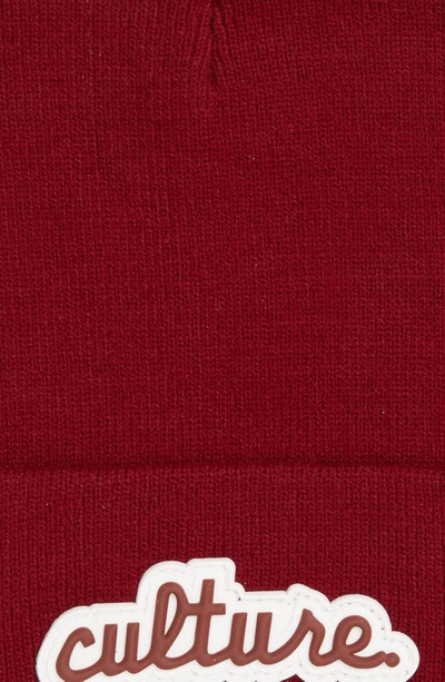 Shop A Life Well Dressed Culture Statement Beanie In Burgundy