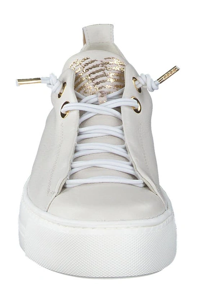 Paul Green Faye Sneaker In Ivr Mc Lea