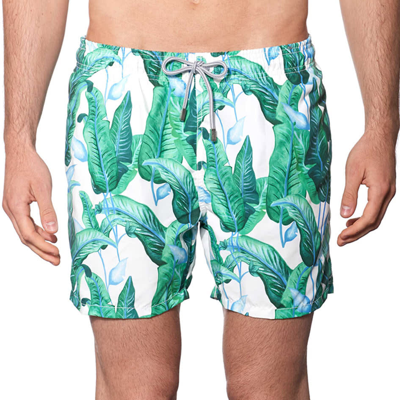 Mc2 Saint Barth Tropical Leaf Print Mid-length Swim Shorts In Green