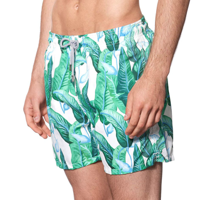 Mc2 Saint Barth Tropical Leaf Print Mid-length Swim Shorts In Green