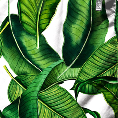 Mc2 Saint Barth Gustavia Leaf-print Swim Shorts In Green