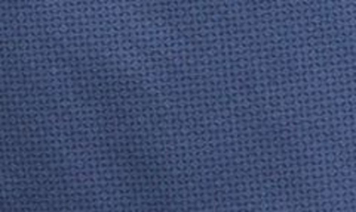 Ag Wanderer Short In Blink Blue Multi