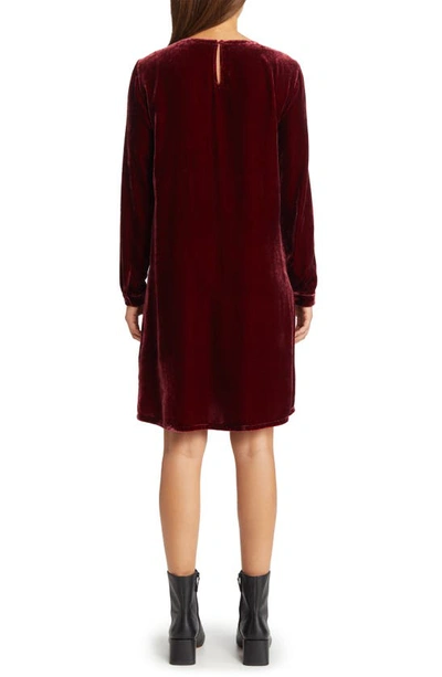Shop Eileen Fisher Long Sleeve Velvet Shift Dress In Deep Claret
