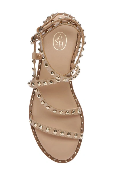 Shop Ash Petra Studded Sandal In Skin