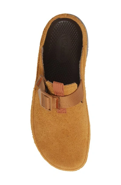 Shop Chaco Paonia Clog In Caramel Brown