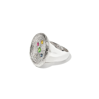 Bleue Burnham Plants See Better Sapphire Signet Ring In Silver