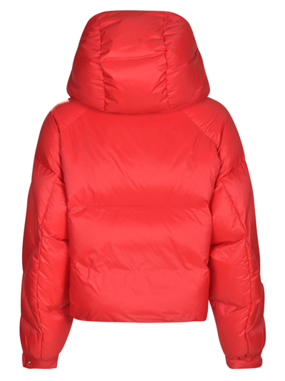 Shop Bacon Large Hood Cropped Padded Jacket In Red
