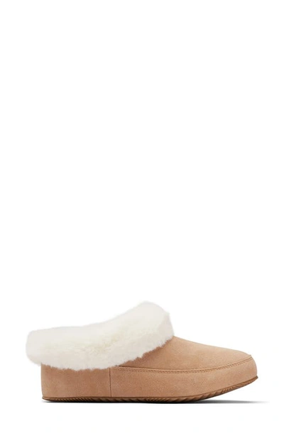 Sorel Go Coffee Run Full Suede Slipper With Cosy Lining In Tawny Buff Natural