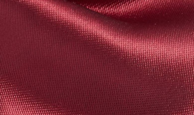 Clifton Wilson Red Silk Butterfly Bow Tie In Dark Red
