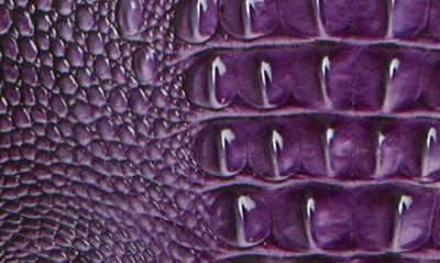 Shop Brahmin Small Caroline Croc Embossed Leather Satchel In Ultraviolet