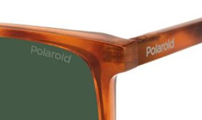 Shop Polaroid Kids' 58mm Polarized Rectangular Sunglasses In Red Havana/ Green Polarized