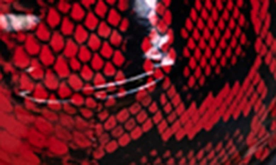 Shop Roma Confidential Python Snake Print Embroidered Underwire Bra, G-string & Suspender Belt Set In Red/ Black
