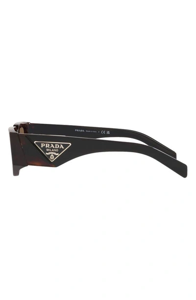 Shop Prada 56mm Rectangular Sunglasses In Tortoise