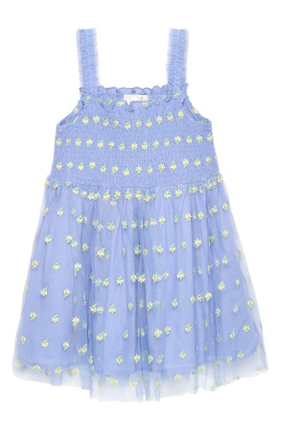 Shop Peek Aren't You Curious Kids' Embroidered Tulle Dress In Purple