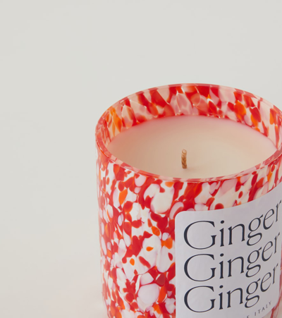 Shop Stories Of Italy Macchia Su Macchia Ginger Scented Candle