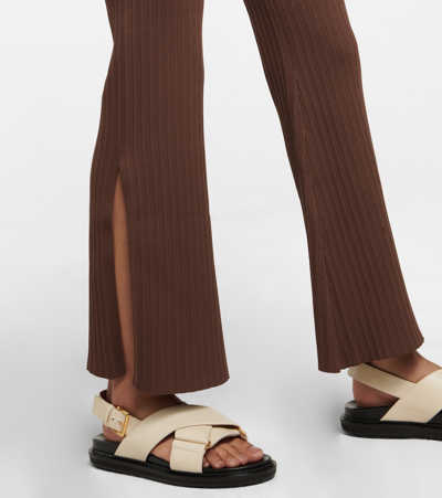 Shop Sir Sylvie Ribbed Pants In Chocolat