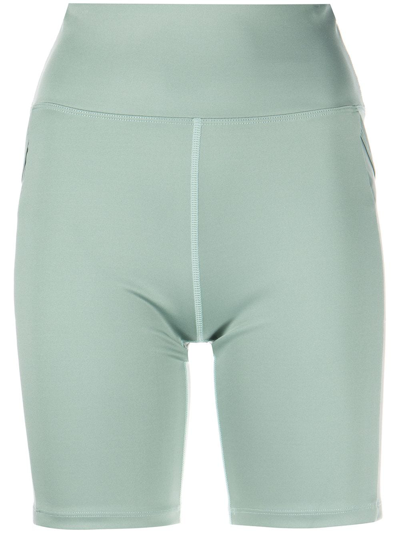 Shop Marchesa Olive Cycling Shorts In Green