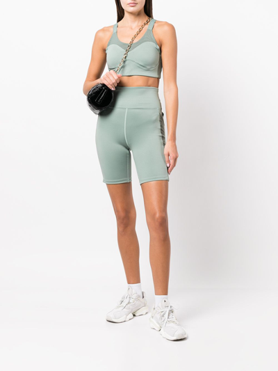 Shop Marchesa Olive Cycling Shorts In Green